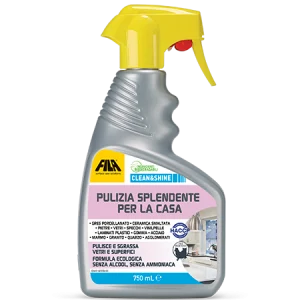 Spray Detergente Lucidante